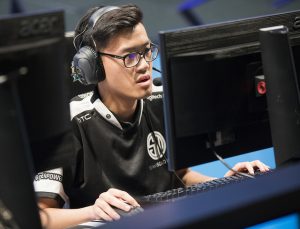 Picture of TSM Wild turtle